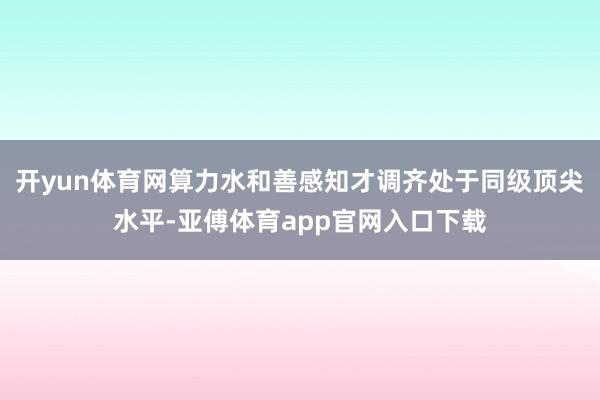 开yun体育网算力水和善感知才调齐处于同级顶尖水平-亚傅体育app官网入口下载