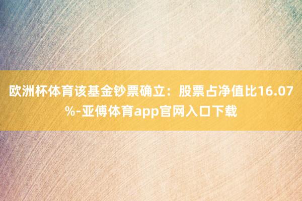 欧洲杯体育该基金钞票确立：股票占净值比16.07%-亚傅体育app官网入口下载