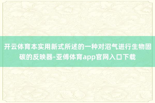 开云体育本实用新式所述的一种对沼气进行生物固碳的反映器-亚傅体育app官网入口下载