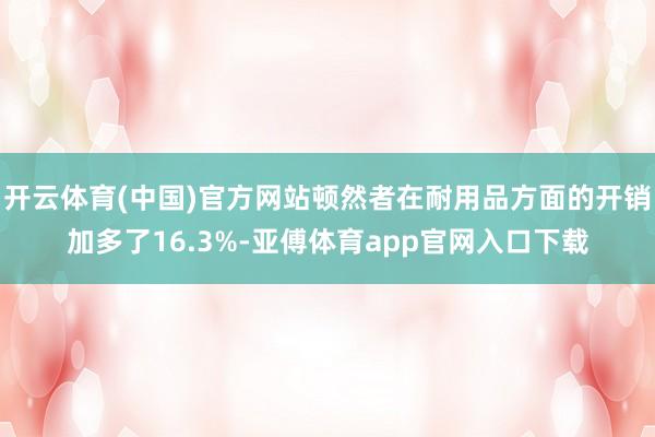 开云体育(中国)官方网站顿然者在耐用品方面的开销加多了16.3%-亚傅体育app官网入口下载