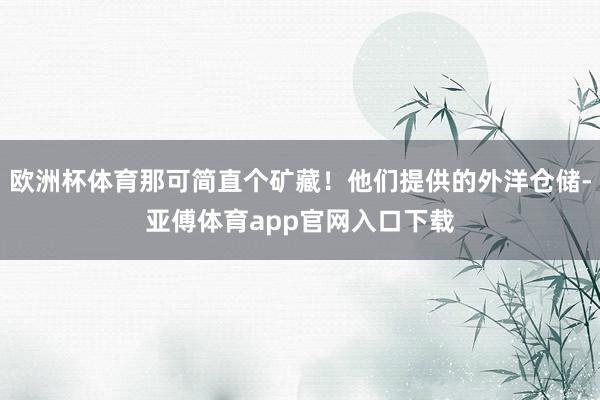 欧洲杯体育那可简直个矿藏！他们提供的外洋仓储-亚傅体育app官网入口下载
