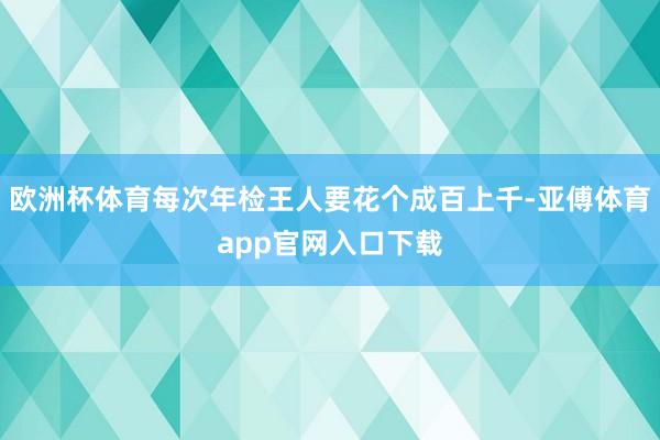 欧洲杯体育每次年检王人要花个成百上千-亚傅体育app官网入口下载