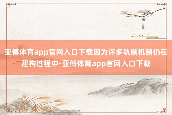 亚傅体育app官网入口下载因为许多轨制机制仍在建构过程中-亚傅体育app官网入口下载